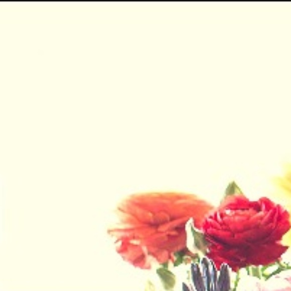 Meet your Posher, Amy - Picture 1 of 1